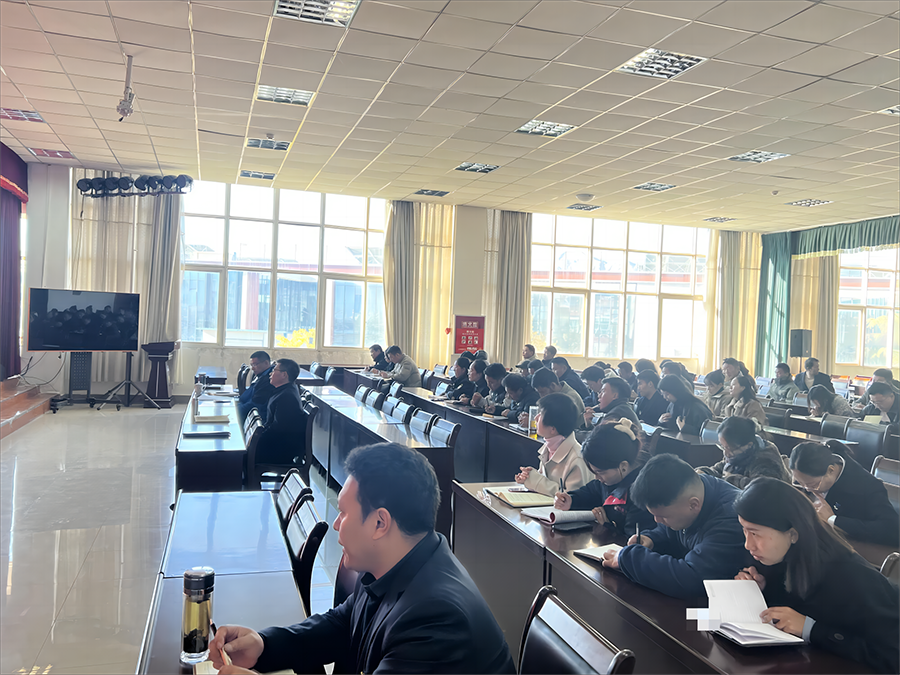 1699859639480745.png P3.png