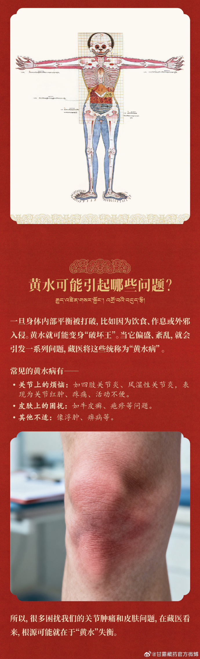 1761876102446953.jpg 86a1cf3cly1i6ujv6kyc5j21io507npf.jpg