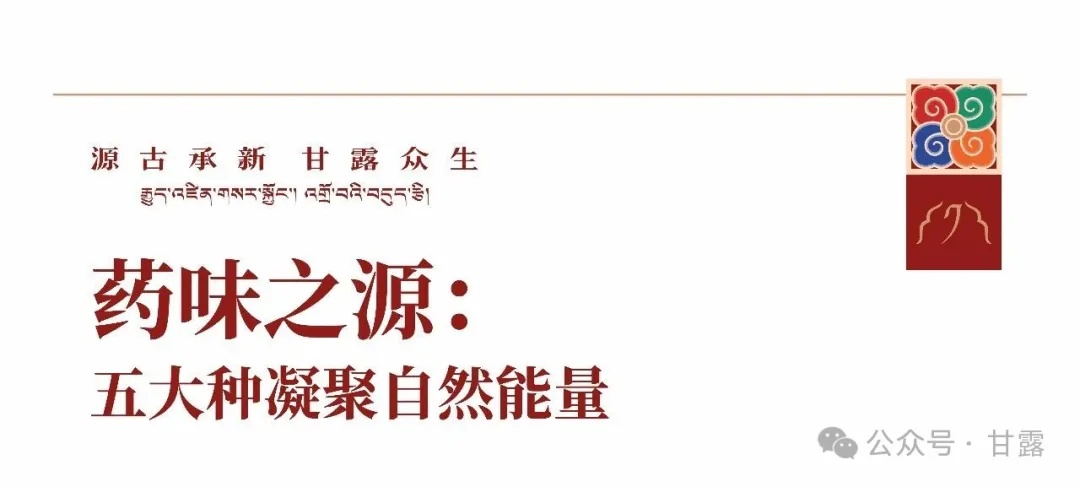 1767511078778711.jpg 640.jpg