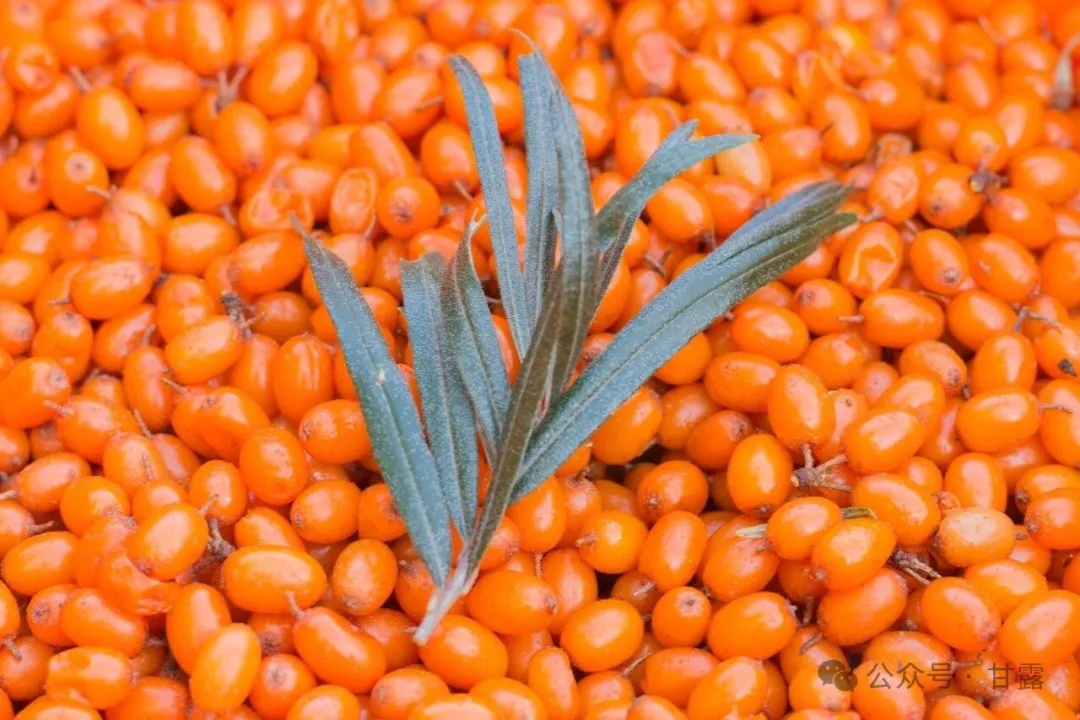 1767511129458309.jpg 640 (3).jpg