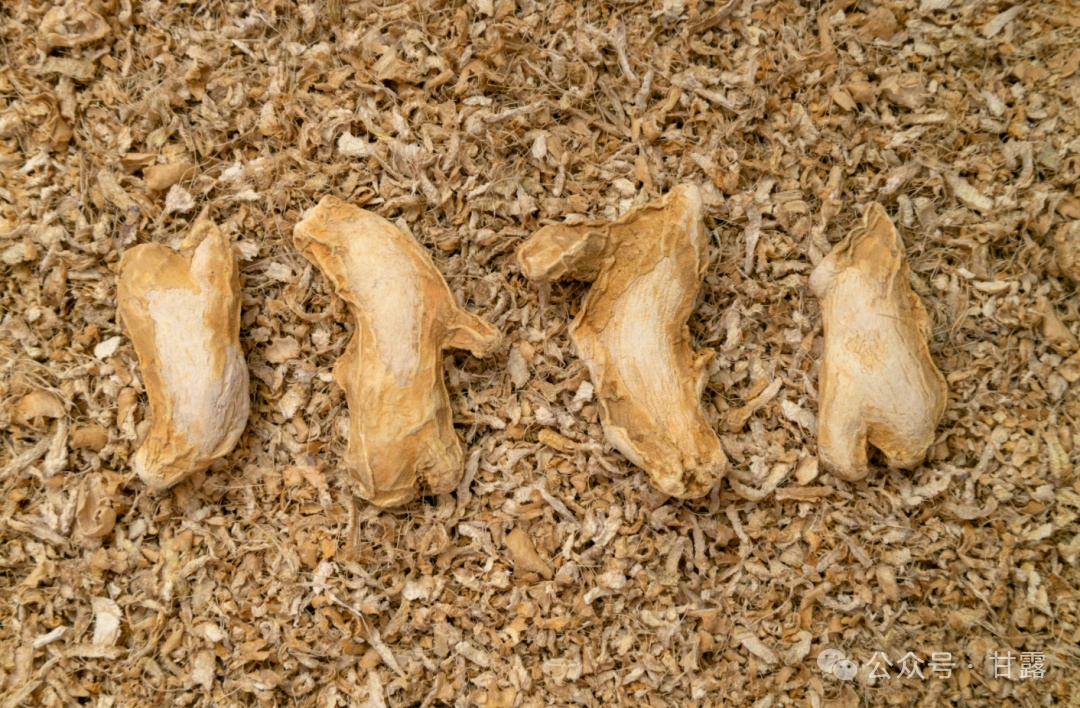 1767511198211417.jpg 640.jpg